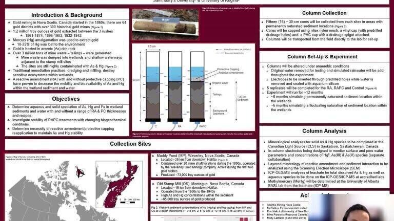 Assessing the effectiveness and long-term effects of reactive capping amendments within simulated contaminated wetland columns